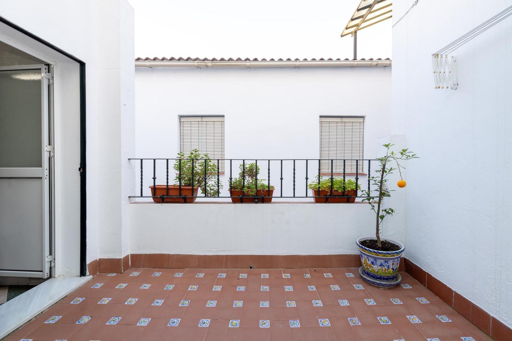 Apartamentos Trianasol セビリア エクステリア 写真