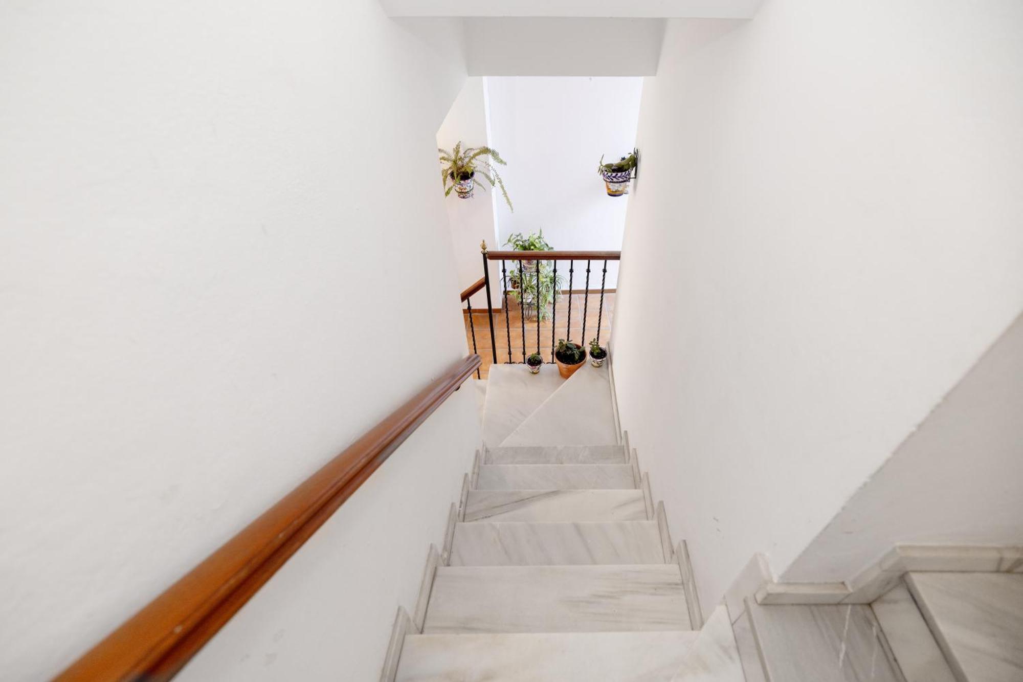 Apartamentos Trianasol セビリア エクステリア 写真