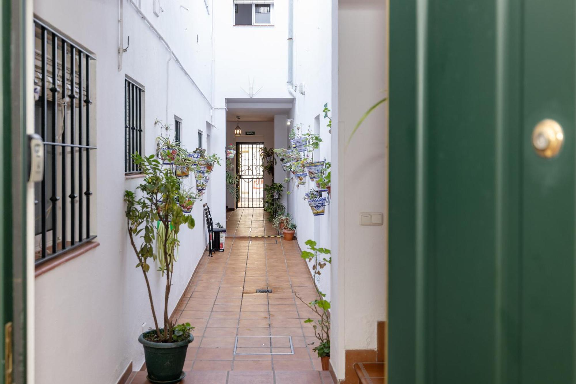 Apartamentos Trianasol セビリア エクステリア 写真