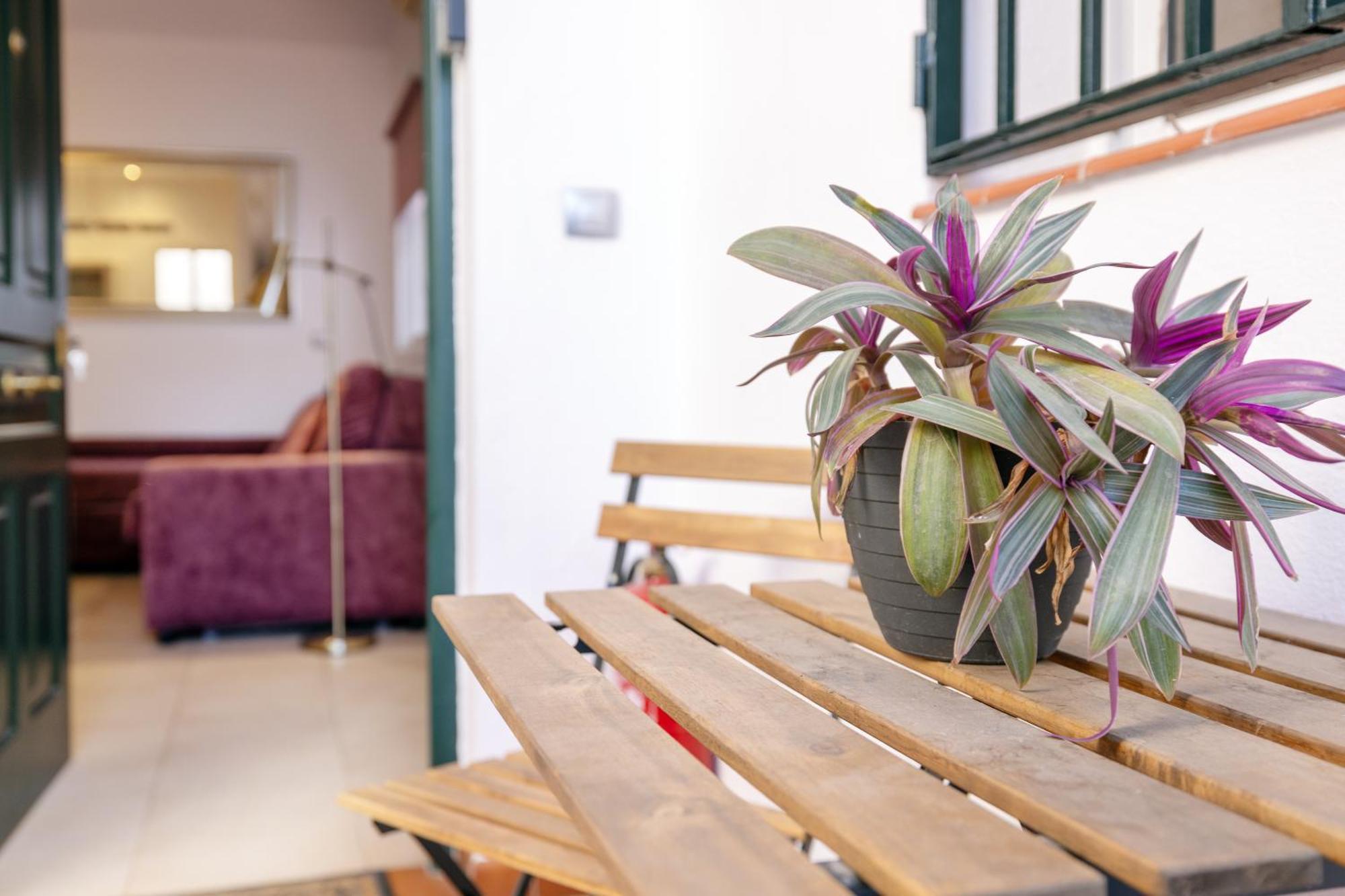 Apartamentos Trianasol セビリア エクステリア 写真